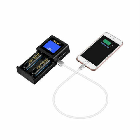 Зарядное устройство Golisi S2 2.0A (Оригинал)